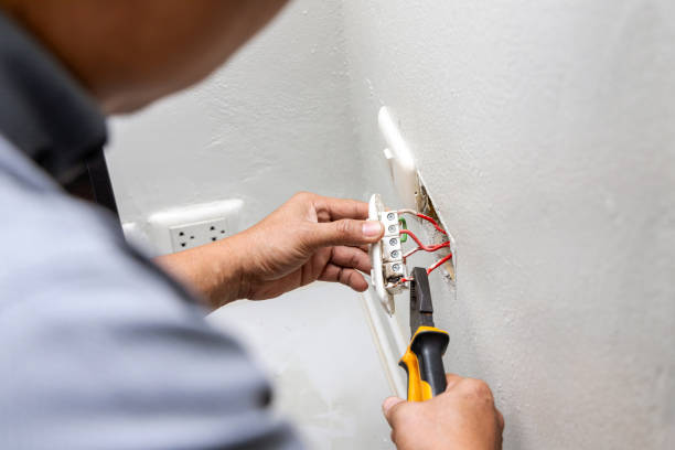 Best Ceiling Fan Installation Electrician  in Keuka Park, NY